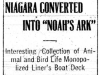 Niagara as Animal Carrier