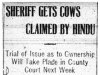 Sheriff Gets Hindu's Cows
